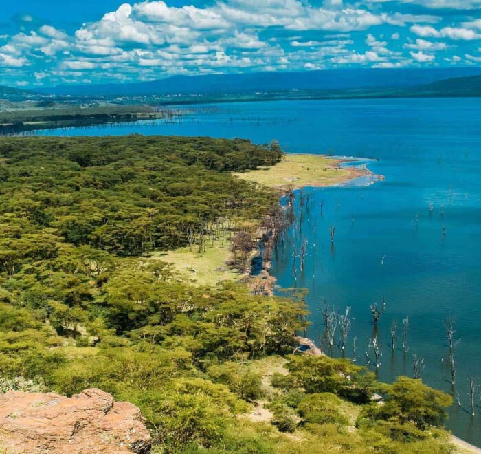 Beautiful shore of Lake Nakuru National Park. Photo taken on an 8-Day Kenya Safari
