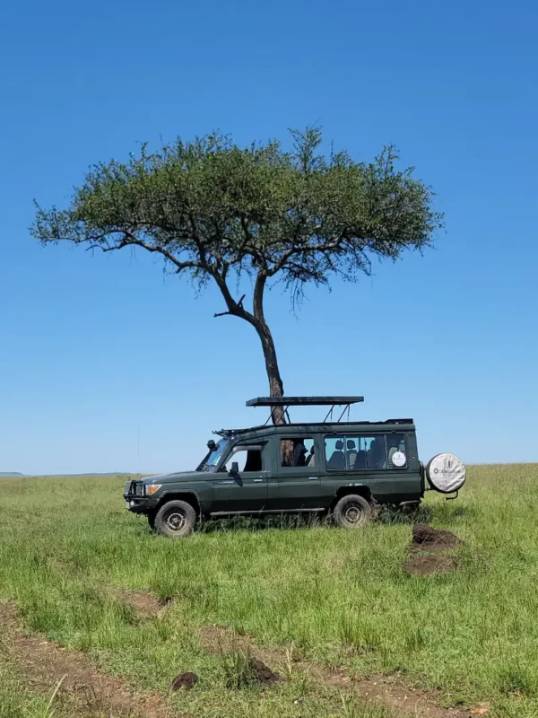 Landcruiser in Mara during a 6-Day Kenya Bush Safari